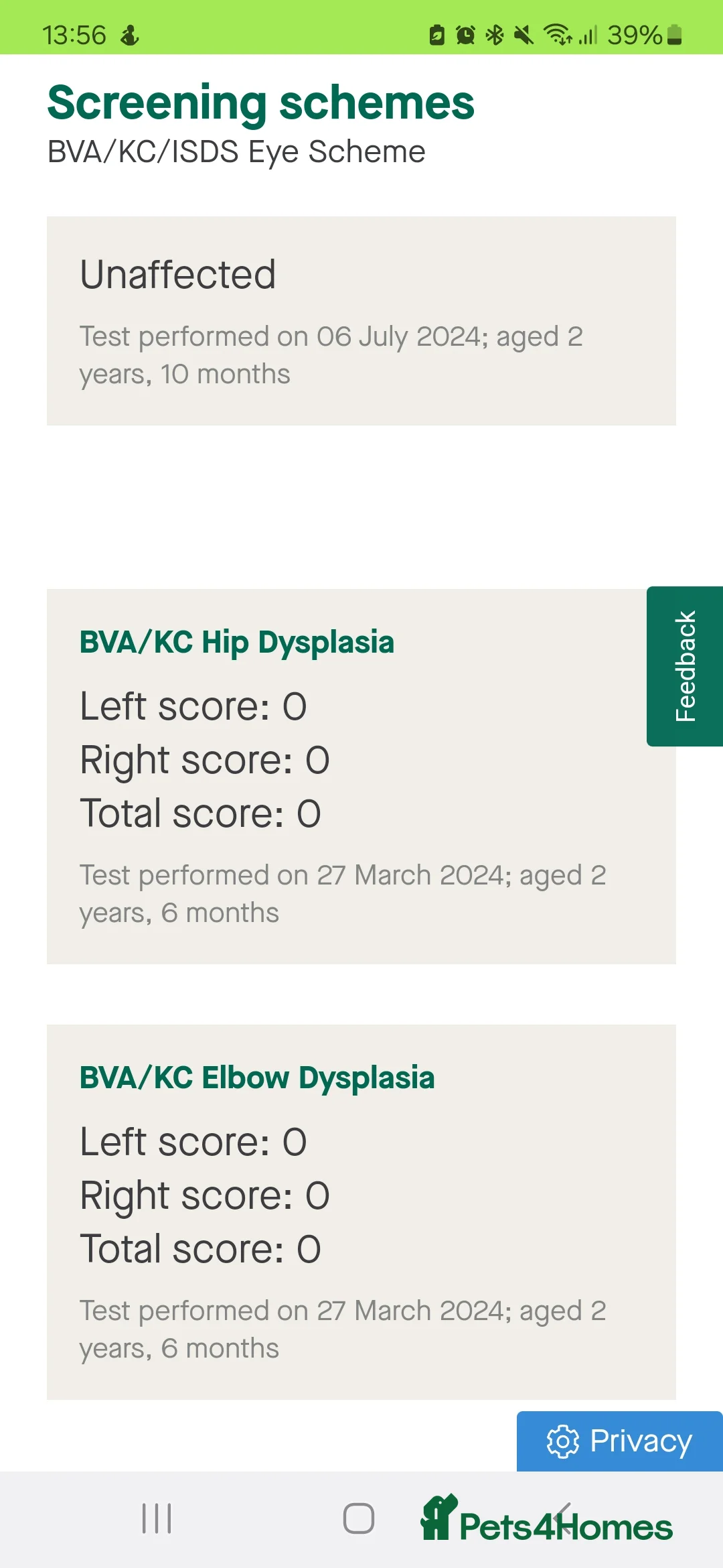 German Shorthaired Pointer dogs for stud: Proven full KC Reg GSP 5th Generation working in Liverpool - Advert 10