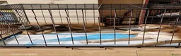 Mixed Breed dogs for sale: 2 beautiful happy boys need a new adventure - Advert 3