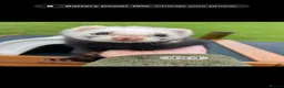 Ferret rodents for sale: Ferret kits looking for forever homes - Advert 10