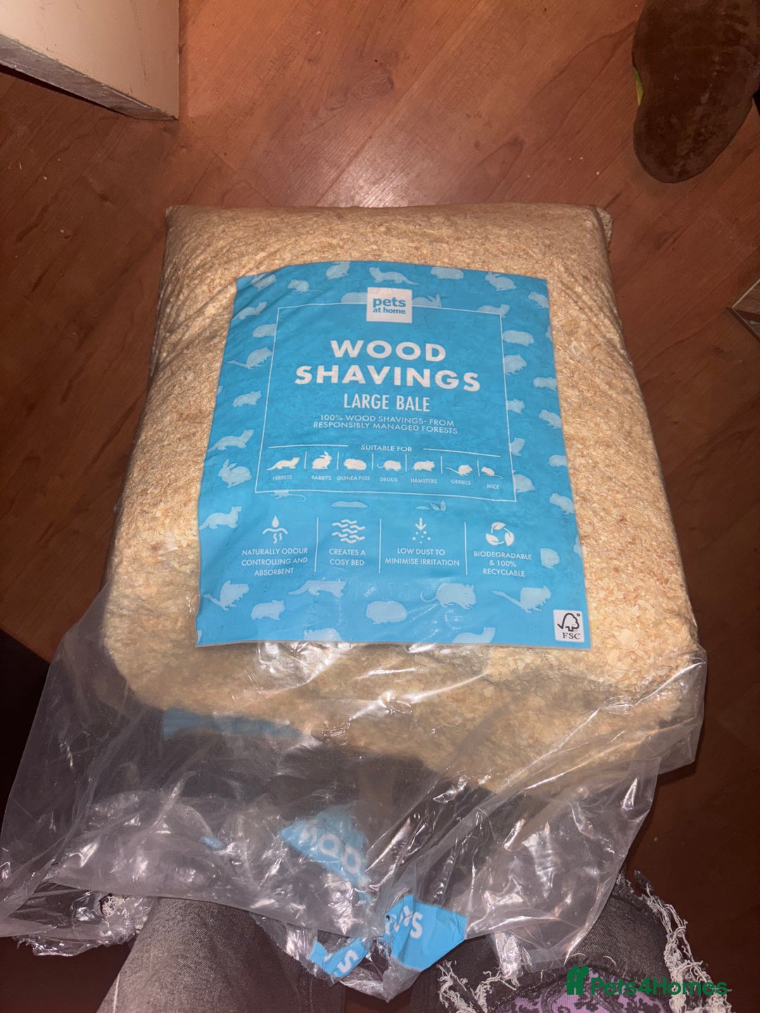 Guinea Pig rodents for sale: 2 Guinea pigs - Advert 6