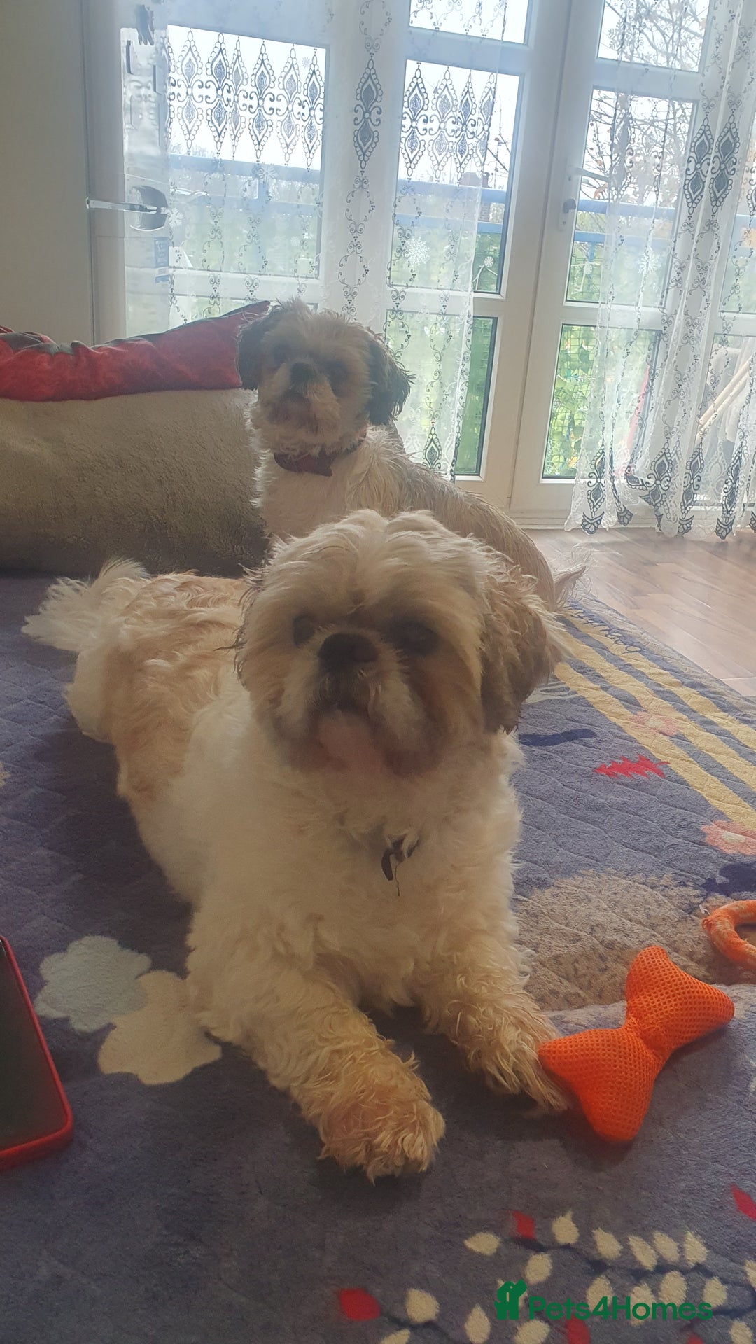 Gallery Image {{count}}