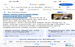 Mixed Breed dogs for sale: Sandy - Advert 23