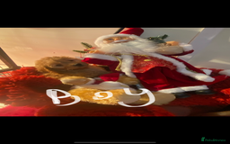 Cavapoo dogs for sale: F1 cavapoo puppys girls and boys  - Advert 1