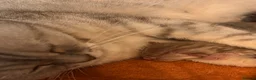 British Shorthair cats for sale: Kittens ready for a new home  - Advert 2