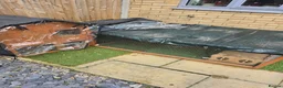 Guinea Pig rodents for sale: Guinea pigs and cages  in Bridgwater - Advert 1