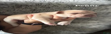 Penny
