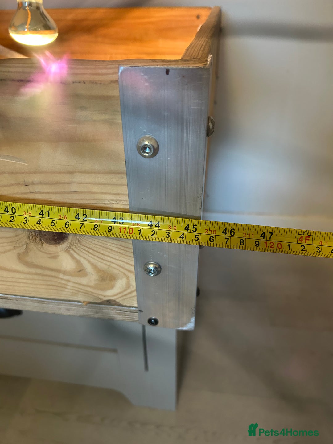 Tortoise reptiles for sale: Tortoise and full set up for sale - Image 6