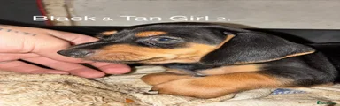 Girl 2