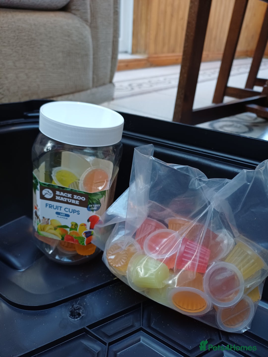 Macaws birds for sale: Blue & Gold Macaw For Sale - Image 8