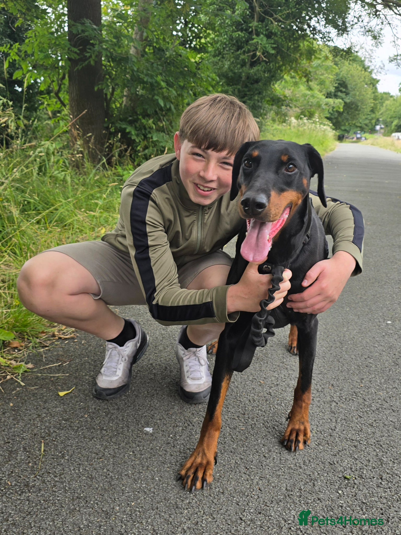 Dobermann dogs X4 Beautiful female pups available  - Advert 2