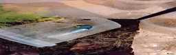 Frog reptiles for sale: Blue Splashback Dart frog babies - Advert 4