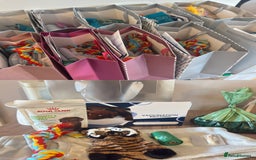 Miniature Dachshund dogs for sale:  READY NOW  minismooth haired dachshunds 🐾 - Image 15