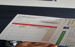 Labradoodle dogs for sale: Trained Labradoodle puppy needs a forever home. - Image 8