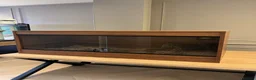 Boa Snake reptiles for sale: Boa constrictor and Vivarium for sale - Advert 3