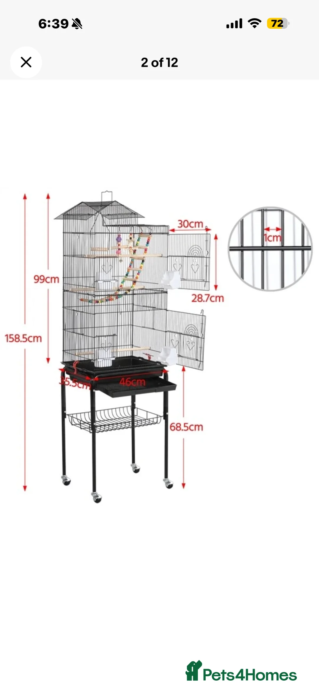 Budgerigars birds for sale: Beautiful male budgie  in Leicester - Advert 5