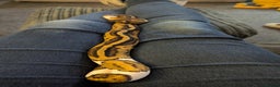 Python Snake reptiles for sale: Pied Ball Python female  - Advert 3