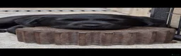Labrador Retriever dogs for sale: Stunning Black Lab Pup..  - Advert 3