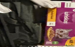 Ragdoll cats for sale: Mr oreo  - Advert 8