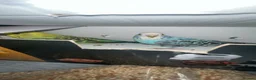 Budgerigars birds for sale: two budgies one male one female in Birmingham - Advert 2