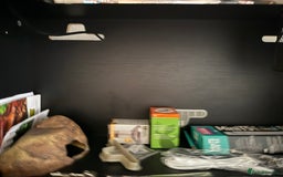 Mixed Breed reptiles for sale: Medium vivexotic vivarium & equipment. - Image 1