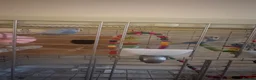 Budgerigars birds for sale: Breeding Pair of Budgies for Sale – £50  in Lowestoft - Advert 2