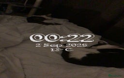 Tibetan cats for sale: Buffy - Image 4