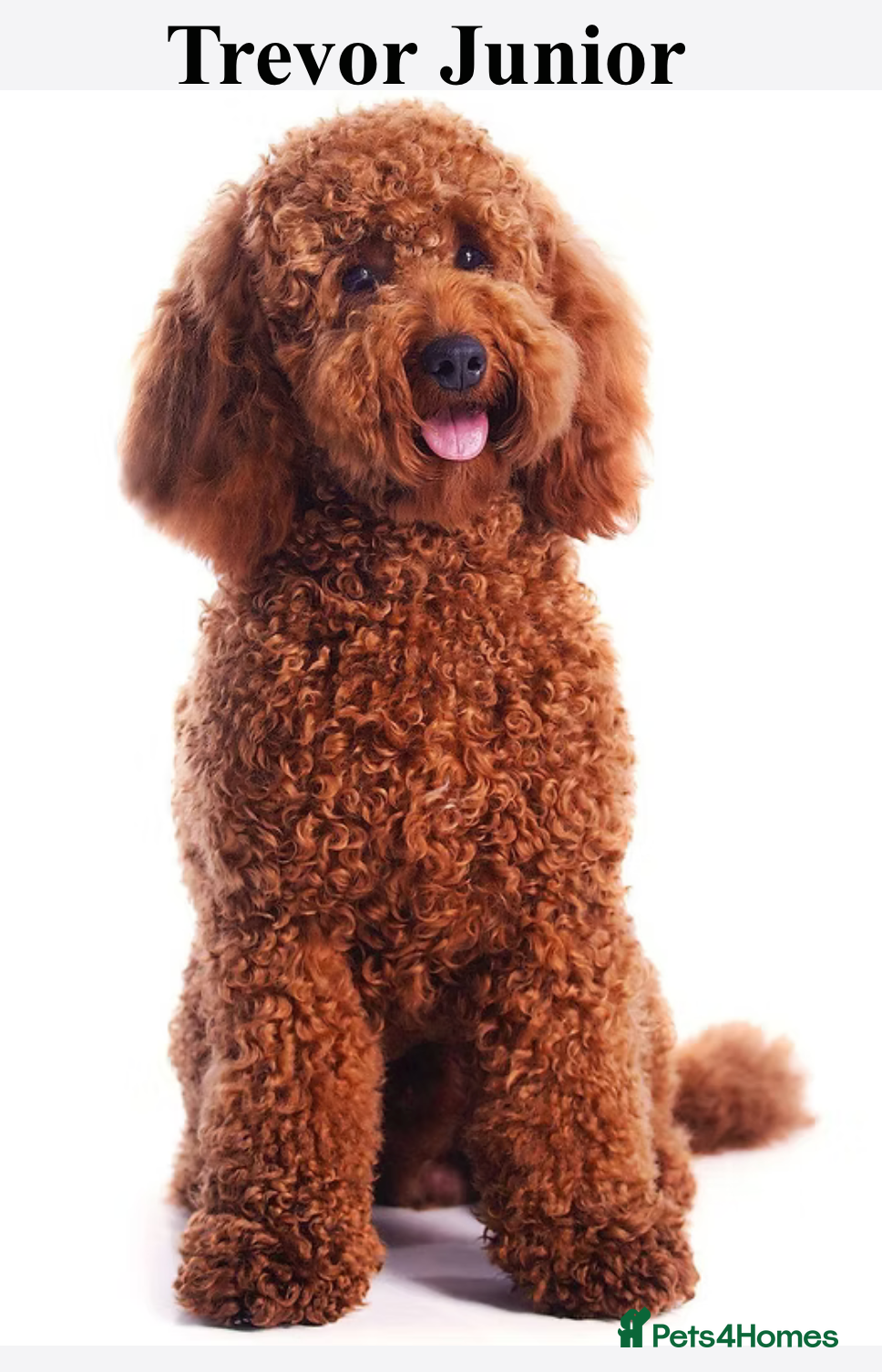 Trevor junior