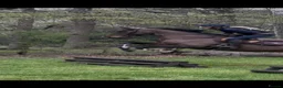 Irish Thoroughbred horses for sale: Super safe teenager dream horse  - Advert 2