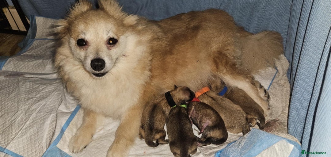 Gallery Image {{count}}