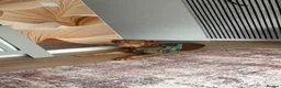 Mixed Breed dogs for sale: Staffordshire Bull Terrier Mix in Watford - Advert 3