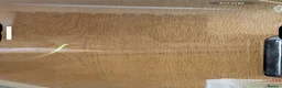 Stick Insects invertebrates for sale: Collection of stick insects with vivarium - Advert 3