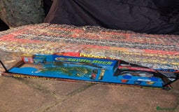Turtle reptiles for sale: 2 Musk Turtles and 40 gallon tank set up - Image 17