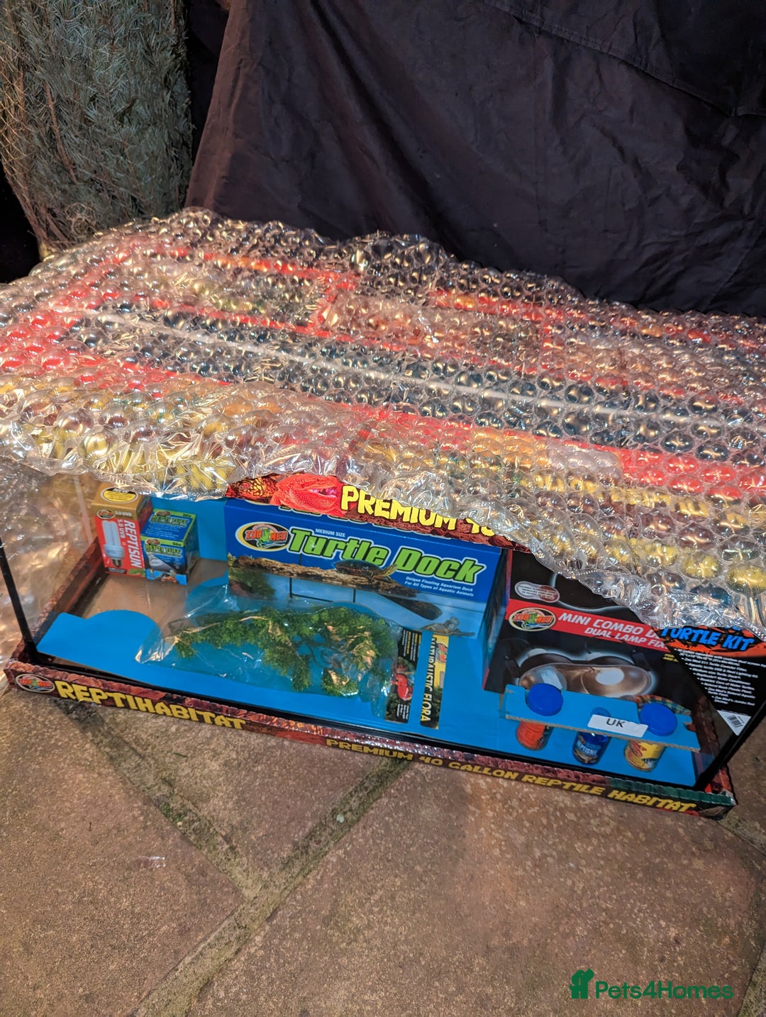 Turtle reptiles for sale: 2 Musk Turtles and 40 gallon tank set up - Image 17
