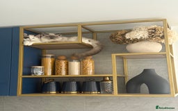 Ragdoll cats for sale: Beautiful Blue point mitted Ragdoll  - Advert 18