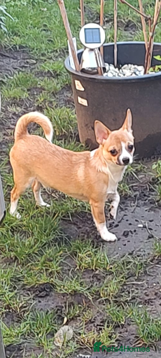 Gallery Image {{count}}