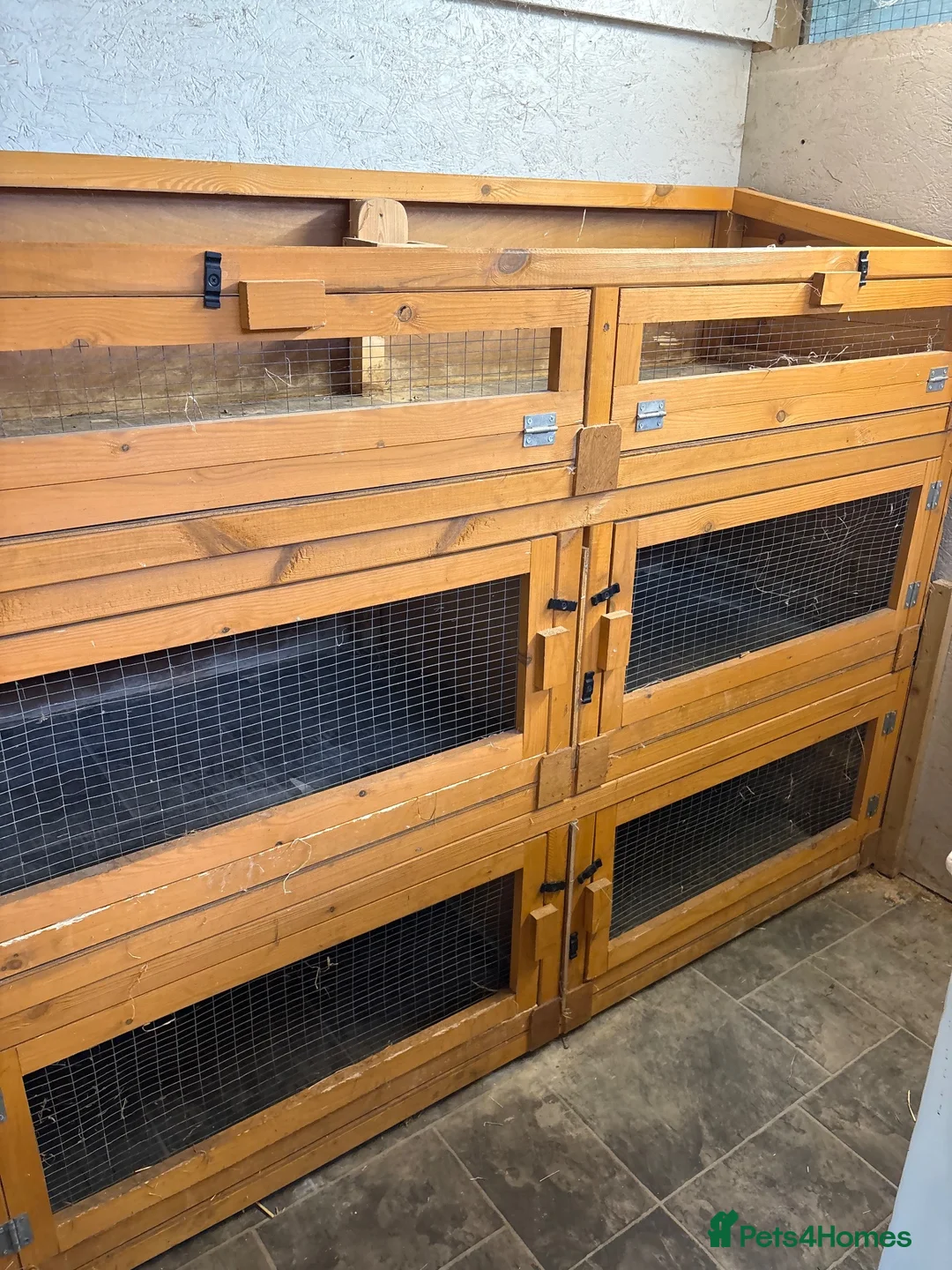 Guinea Pig rodents for sale: 6ft 3 tier wooden guinea pig breeding hutch - Advert 6