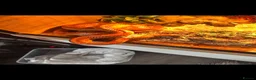 Corn Snake reptiles for sale: Female Corn snake in Bishop's Stortford - Advert 3