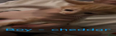 Chedder