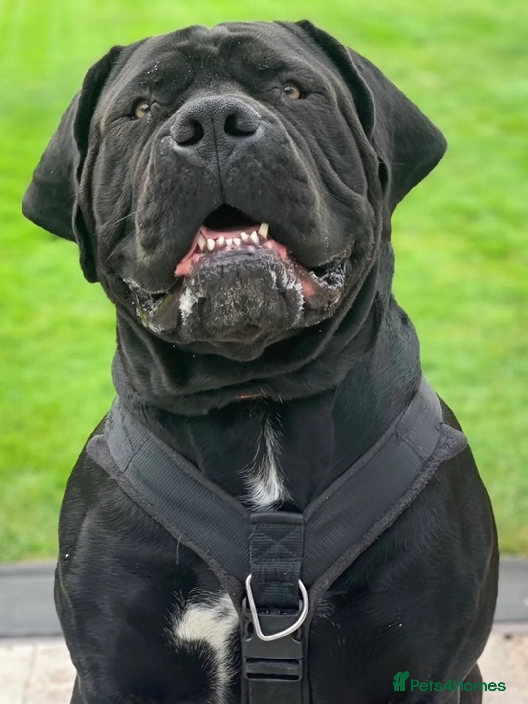 Gallery Image {{count}}