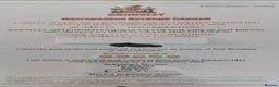 Labrador Retriever dogs for sale: Kc registered fully health tested puppies  in Barnsley - Advert 4