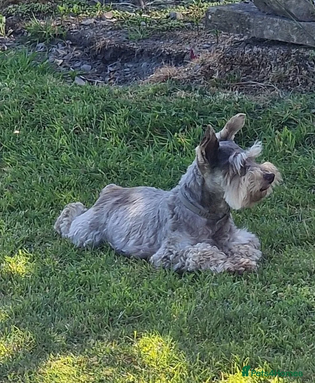 Gallery Image {{count}}