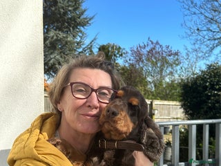 Cocker Spaniel dogs - Advert 14