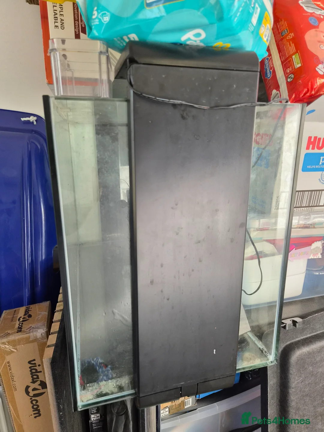 Mollies fish for sale: Mollies and Platties with SuperFish Home 100 in Dudley - Advert 2