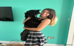 Maine Coon cats for sale: Adorable half mainecoon kittens for sale  - Image 22