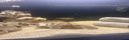 Cichlids fish for sale: Fish for sale in Milton Keynes - Advert 3