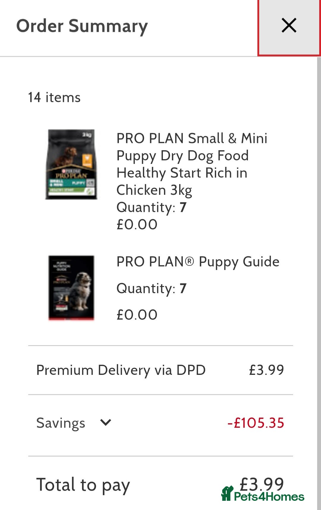 Whippet dogs for sale: These Adorable pups are needing a forever home. - Advert 17