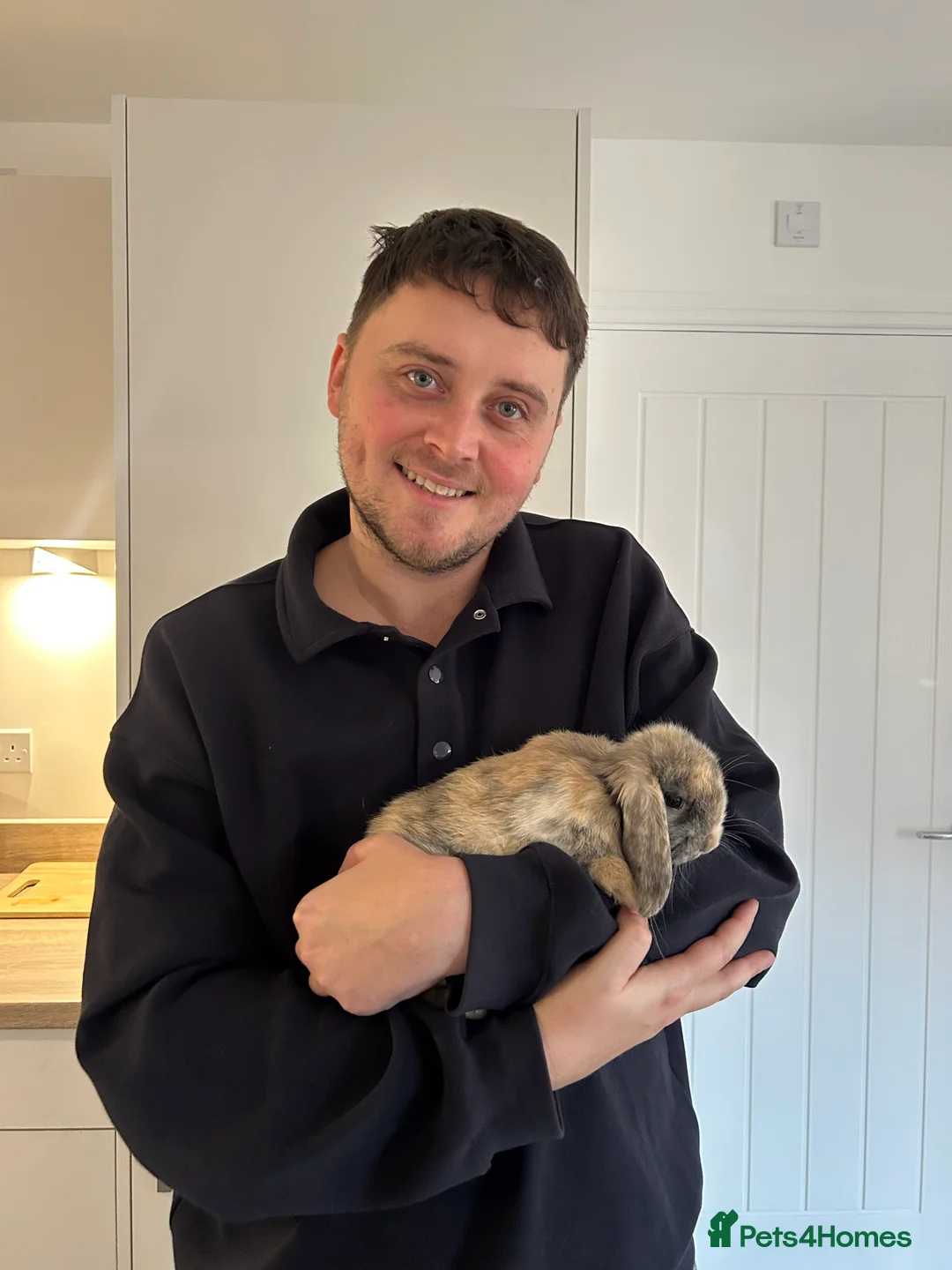 Mini Lop rabbits for sale: Mini Lop Bunnies – Wally & Wilbur  - Advert 3