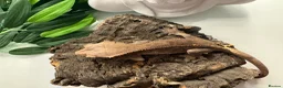 Mixed Breed reptiles for sale: various geckos! - Advert 3