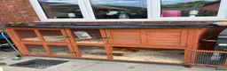 Mixed Breed rabbits for sale: Friendly rabbit  - Advert 4