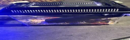 Leopard Gecko reptiles for sale: Leopard Gecko Female & Full vivarium set up - Advert 19